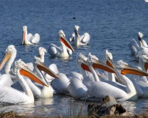 lake-volvi3-1024x818