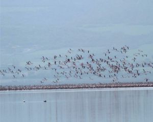 lake-volvi4-1024x818