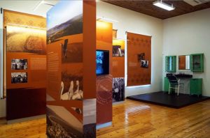 FB_IMG_1675189107223