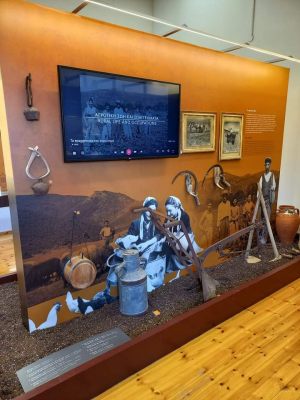 FB_IMG_1675189313089